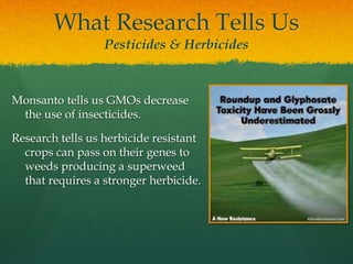 What Research Tells Us
Pesticides & Herbicides
Monsanto tells us GMOs decrease
the use of insecticides.
Research tells us herbicide resistant
crops can pass on their genes to
weeds producing a superweed
that requires a stronger herbicide.
 