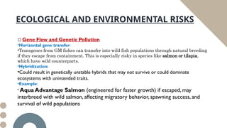 Biotechnology Risks biosafety issues related to genetically modified organisms | PPTX