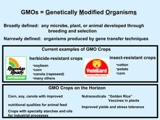 GMOs =  G enetically  M odified  O rganism s Broadly defined:  any microbe, plant, or animal developed through   breeding and selection Narrowly defined:  organisms produced by gene transfer techniques ,[object Object],[object Object],[object Object],[object Object],[object Object],[object Object],[object Object],[object Object],[object Object],Current examples of GMO Crops GMO Crops on the Horizon Corn, soy, canola with improved  nutritional qualities for animal feed Crops with specialty starches and oils for industrial processes Nutraceuticals  “Golden Rice” Vaccines in plants Improved yields and stress tolerance 