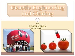 Genetic Engineering and Cloning BY Mason, Jared and DREW  