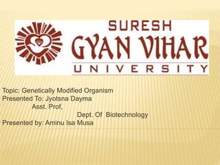 Topic: Genetically Modified Organism
Presented To: Jyotsna Dayma
Asst. Prof,
Dept. Of Biotechnology
Presented by: Aminu Isa Musa
 