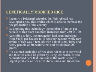 Genetically Modified Giant Rice GMOs and Pakistan | PPT