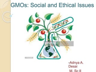 GMOs: Social and Ethical Issues
-Adnya A.
Desai
 