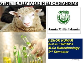 GENETICALLY MODIFIED ORGANISMS
5/6/20201
ASHOK KUMAR
Roll No:19MBT005
M.Sc Biotechnology
2nd Semester
1
 