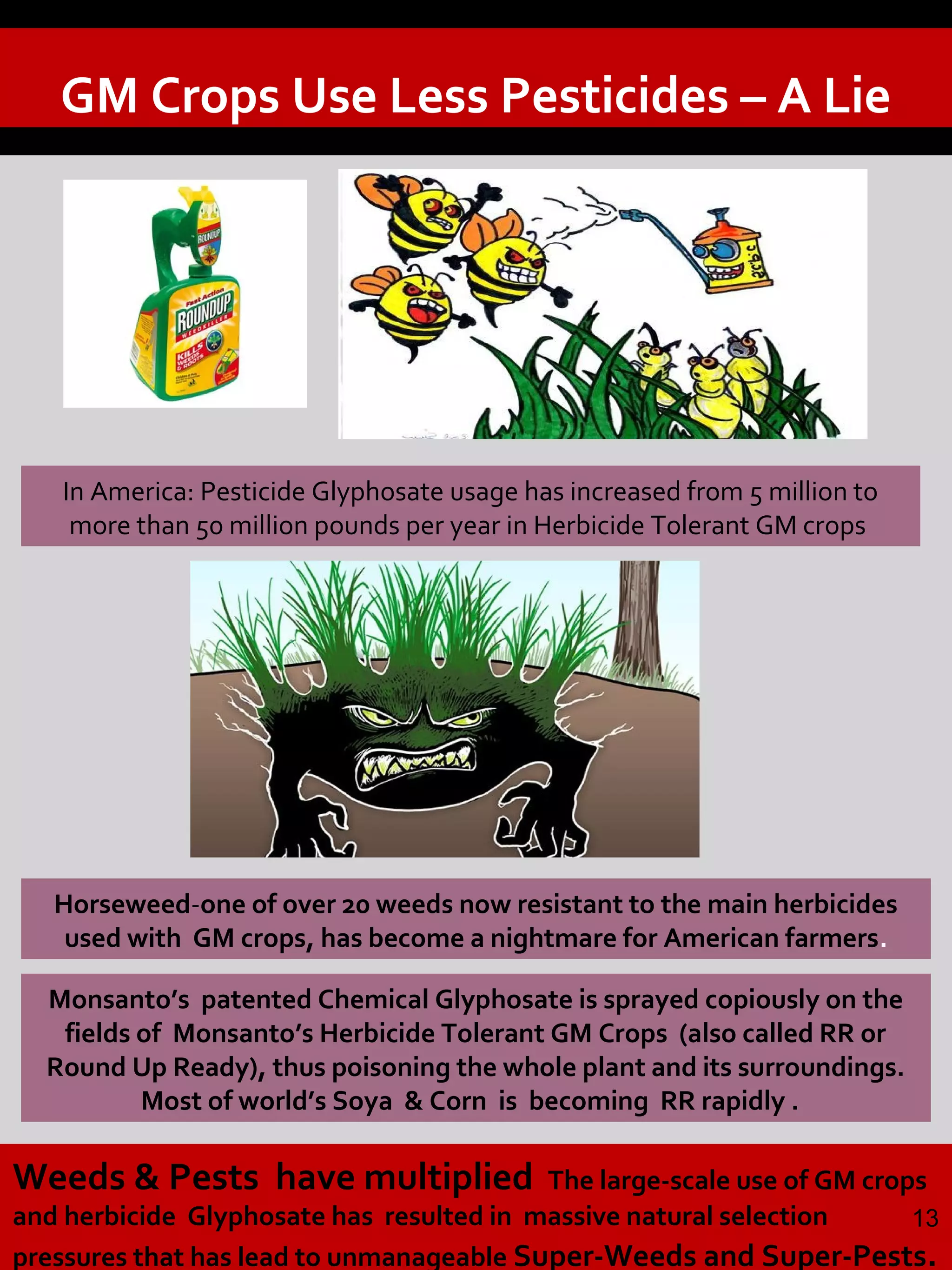 Monsanto’s patented Chemical Glyphosate is sprayed copiously on the
fields of Monsanto’s Herbicide Tolerant GM Crops (also called RR or
Round Up Ready), thus poisoning the whole plant and its surroundings.
Most of world’s Soya & Corn is becoming RR rapidly .
GM Crops Use Less Pesticides – A Lie
Weeds & Pests have multiplied The large-scale use of GM crops
and herbicide Glyphosate has resulted in massive natural selection
pressures that has lead to unmanageable Super-Weeds and Super-Pests.
Horseweed-one of over 20 weeds now resistant to the main herbicides
used with GM crops, has become a nightmare for American farmers.
13
In America: Pesticide Glyphosate usage has increased from 5 million to
more than 50 million pounds per year in Herbicide Tolerant GM crops
 