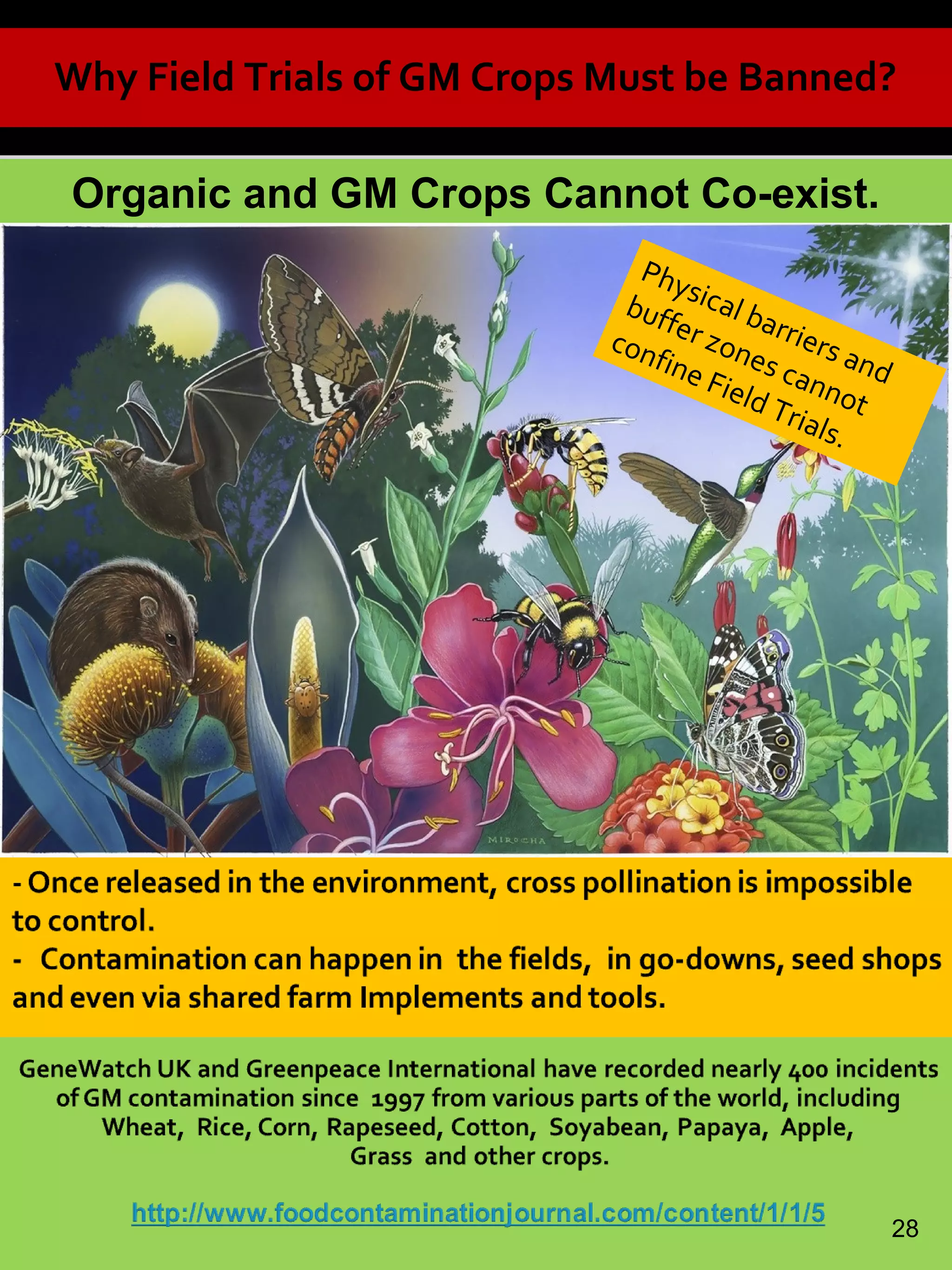 Organic and GM Crops Cannot Co-exist.
Why Field Trials of GM Crops Must be Banned?
Physical barriers and
buffer zones cannot
confine Field Trials.
28
 