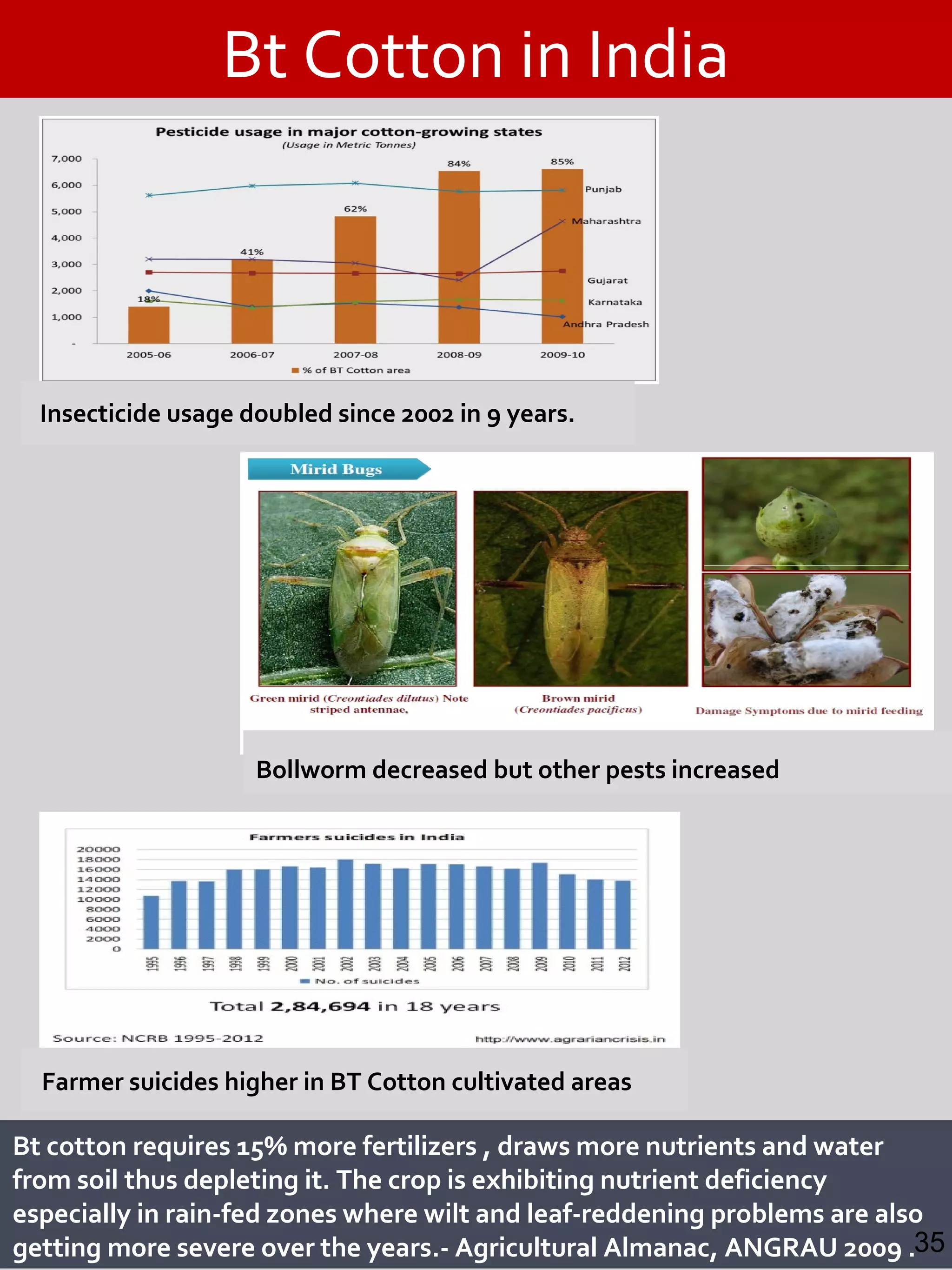 Insecticide usage doubled since 2002 in 9 years.
Bt Cotton in India
Bt cotton requires 15% more fertilizers , draws more nutrients and water
from soil thus depleting it. The crop is exhibiting nutrient deficiency
especially in rain-fed zones where wilt and leaf-reddening problems are also
getting more severe over the years.- Agricultural Almanac, ANGRAU 2009 .
Bollworm decreased but other pests increased
Farmer suicides higher in BT Cotton cultivated areas
35
 