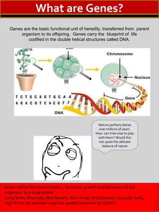 Genes are the basic functional unit of heredity, transferred from parent
organism to its offspring. Genes carry the blueprint of life
codified in the double helical structures called DNA.
Genes define the characteristics, structure, growth and behaviour of the
organism to a large extent.
Long limbs, Blue eyes, Red flowers, Blue wings, broad leaves, muscular body,
high IQ etc for example might be greatly impacted by GENES.
Nature perfects Genes
over millions of years.
How can it be wise to play
with them? Would this
not upset the delicate
balance of nature
1
What are Genes?
 