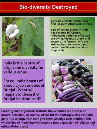 Bio-diversity Destroyed
Creating such organisms disturbs the evolutionary process of
natural selection, or survival of the fittest. Putting such a desirable
gene into an organism may give them an edge over another. This
whole idea of meddling with nature raises a question of religion and
ethics (Rubenstein)
10
 