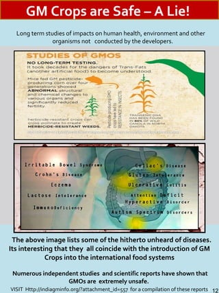 The above image lists some of the hitherto unheard of diseases.
Its interesting that they all coincide with the introduction of GM
Crops into the international food systems
Numerous independent studies and scientific reports have shown that
GMOs are extremely unsafe.
VISIT Http://indiagminfo.org/?attachment_id=557 for a compilation of these reports) 12
GM Crops are Safe – A Lie!
Long term studies of impacts on human health, environment and other
organisms not conducted by the developers.
 