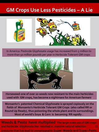 Monsanto’s patented Chemical Glyphosate is sprayed copiously on the
fields of Monsanto’s Herbicide Tolerant GM Crops (also called RR or
Round Up Ready), thus poisoning the whole plant and its surroundings.
Most of world’s Soya & Corn is becoming RR rapidly .
GM Crops Use Less Pesticides – A Lie
Weeds & Pests have multiplied The large-scale use of GM crops
and herbicide Glyphosate has resulted in massive natural selection
pressures that has lead to unmanageable Super-Weeds and Super-Pests.
Horseweed-one of over 20 weeds now resistant to the main herbicides
used with GM crops, has become a nightmare for American farmers.
13
In America: Pesticide Glyphosate usage has increased from 5 million to
more than 50 million pounds per year in Herbicide Tolerant GM crops
 