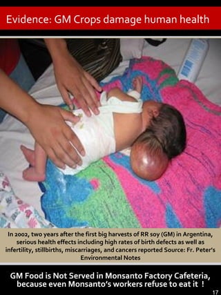 Evidence: GM Crops damage human health
10
In 2002, two years after the first big harvests of RR soy (GM) in Argentina,
serious health effects including high rates of birth defects as well as
infertility, stillbirths, miscarriages, and cancers reported Source: Fr. Peter’s
Environmental Notes
GM Food is Not Served in Monsanto Factory Cafeteria,
because even Monsanto’s workers refuse to eat it !
17
 