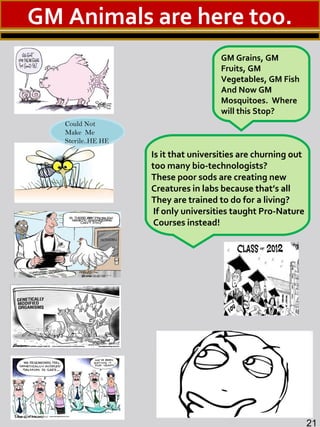 GM Grains, GM
Fruits, GM
Vegetables, GM Fish
And Now GM
Mosquitoes. Where
will this Stop?
21
GM Animals are here too.
Could Not
Make Me
Sterile..HE HE
Is it that universities are churning out
too many bio-technologists?
These poor sods are creating new
Creatures in labs because that’s all
They are trained to do for a living?
If only universities taught Pro-Nature
Courses instead!
 