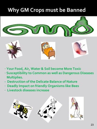 - Your Food, Air, Water & Soil become More Toxic
- Susceptibility to Common as well as Dangerous Diseases
Multiplies.
- Destruction of the Delicate Balance of Nature
- Deadly Impact on friendly Organisms like Bees
- Livestock diseases increase
Why GM Crops must be Banned
23
 