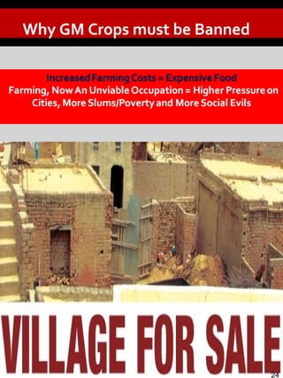 Why GM Crops must be Banned
24
 