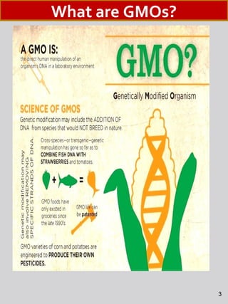 3
What are GMOs?
 