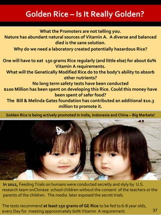 Golden Rice – Is It Really Golden?
What the Promoters are not telling you.
Nature has abundant natural sources of Vitamin A. A diverse and balanced
died is the sane solution.
Why do we need a laboratory created potentially hazardous Rice?
One will have to eat 150 grams Rice regularly (and little else) for about 60%
Vitamin A requirements.
What will the Genetically Modified Rice do to the body’s ability to absorb
other nutrients?
No long term safety tests have been conducted
$100 Million has been spent on developing this Rice. Could this money have
been spent of safer food?
The Bill & Melinda Gates foundation has contributed an additional $10.3
million to promote it.
In 2012, Feeding Trials on humans were conducted secretly and slyly by U.S.
research team onChinese school children without the consent of the teachers or the
parents of the children. The media later exposed the secret trials.
The tests recommend at least 150 grams of GE Rice to be fed to 6-8 year olds,
every Day for meeting approximately 60% Vitamin A requirement.
Golden Rice is being actively promoted in India, Indonesia and China – Big Markets!
37
 