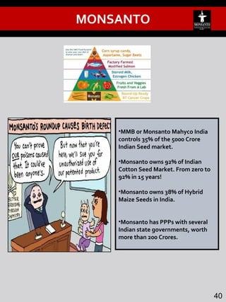 •MMB or Monsanto Mahyco India
controls 35% of the 5000 Crore
Indian Seed market.
•Monsanto owns 92% of Indian
Cotton Seed Market. From zero to
92% in 15 years!
•Monsanto owns 38% of Hybrid
Maize Seeds in India.
•Monsanto has PPPs with several
Indian state governments, worth
more than 200 Crores.
40
MONSANTO
 