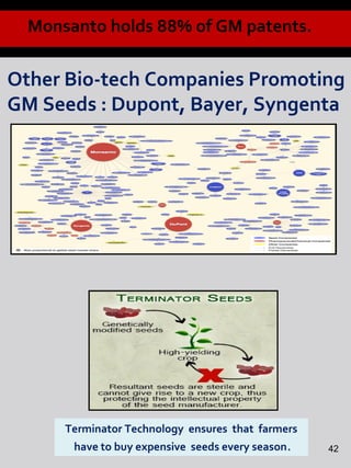 Monsanto holds 88% of GM patents.
Other Bio-tech Companies Promoting
GM Seeds : Dupont, Bayer, Syngenta
Terminator Technology ensures that farmers
have to buy expensive seeds every season. 42
 
