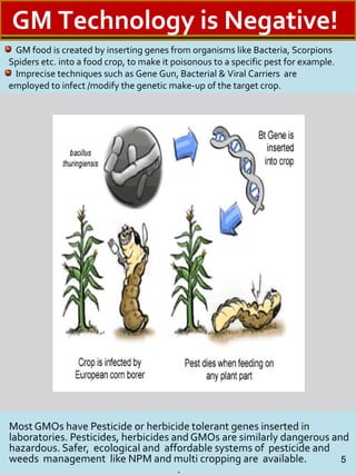 Most GMOs have Pesticide or herbicide tolerant genes inserted in
laboratories. Pesticides, herbicides and GMOs are similarly dangerous and
hazardous. Safer, ecological and affordable systems of pesticide and
weeds management like NPM and multi cropping are available.
.
5
GM food is created by inserting genes from organisms like Bacteria, Scorpions
Spiders etc. into a food crop, to make it poisonous to a specific pest for example.
Imprecise techniques such as Gene Gun, Bacterial & Viral Carriers are
employed to infect /modify the genetic make-up of the target crop.
GM Technology is Negative!
 