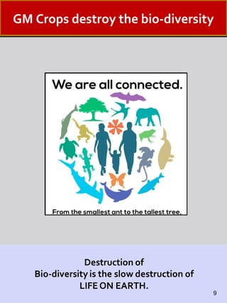 GM Crops destroy the bio-diversity
9
 