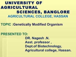 UNIVERSITY OF
AGRICULTURAL
SCIENCES, BANGLORE
AGRICULTURAL COLLEGE, HASSAN
TOPIC :Genetically Modified Organism
PRESENTED TO:
DR. Nagesh .N.
Asst. professor ,
Dept.of Biotechnology,
Agricultural college, Hassan.
 