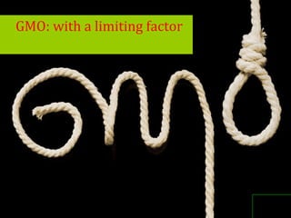 GMO: with a limiting factor
 