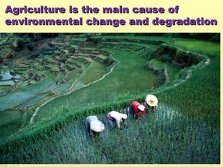 Agriculture is the main cause of
Agriculture is the main cause of
environmental change and degradation
environmental change and degradation
 