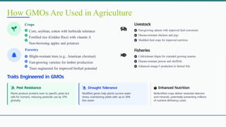 GMOs in Agriculture, Understanding their role, impact and future.pptx