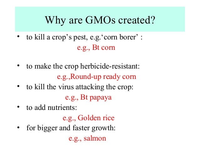 what are gmo s