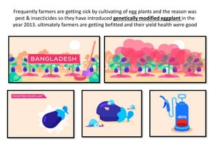 Frequently farmers are getting sick by cultivating of egg plants and the reason was
pest & insecticides so they have introduced genetically modified eggplant in the
year 2013. ultimately farmers are getting befitted and their yield health were good
 