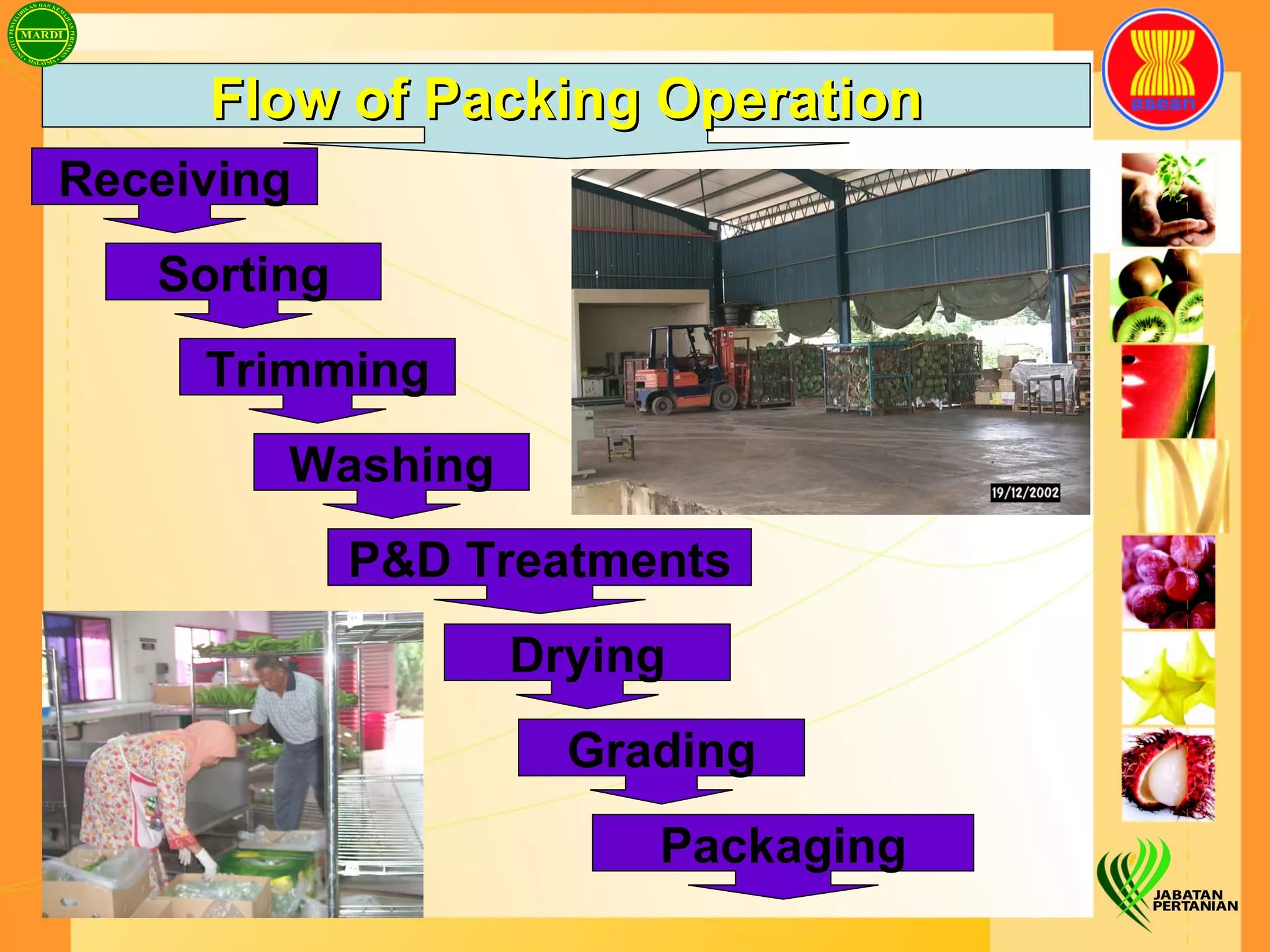 Sorting Trimming Washing Drying Receiving Flow of Packing Operation P&D Treatments Grading Packaging 