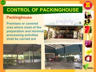 Packinghouse Premises or covered area where most of the preparation and minimal processing activities shall be carried out CONTROL OF PACKINGHOUSE 