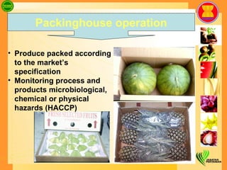Produce packed according to the market’s specification  Monitoring process and products microbiological, chemical or physical hazards  (HACCP) Packinghouse operation 