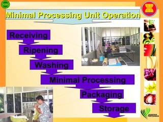 Storage Ripening Washing Minimal Processing Packaging Receiving Minimal Processing Unit Operation 