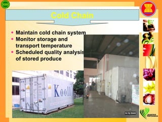 Maintain cold chain system  Monitor storage and transport temperature  Scheduled quality analysis of stored produce Cold Chain 