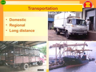 Transportation Domestic Regional Long distance 