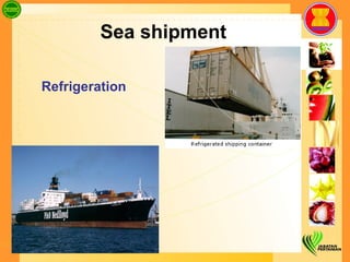 Sea shipment Refrigeration 