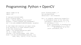 Seeing is Perceiving ... Unless You're a Machine | PPT