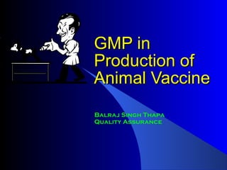 GMP in
Production of
Animal Vaccine
Balraj Singh Thapa
Quality Assurance
 