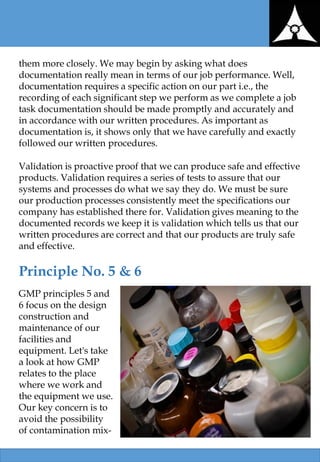 10 Principles of Good Manufacturing Practice (GMP) | PDF
