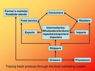 Growers Processors
Imports
Shippers
Intermediaries:
Wholesalers/brokers/
repackers/exporters/
importers
Retailers
Farmer’s markets/
Roadside stands
Consumers
Exports
Food service
Tracing fresh produce through the food marketing system
 