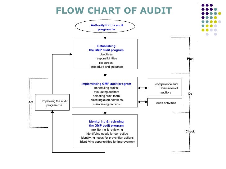 Chart Auditor