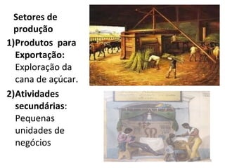 Setores de
  produção
1)Produtos para
  Exportação:
  Exploração da
  cana de açúcar.
2)Atividades
  secundárias:
  Pequenas
  unidades de
  negócios
                    8
 