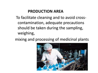PRODUCTION AREA
To facilitate cleaning and to avoid crosscontamination, adequate precautions
should be taken during the sampling,
weighing,
mixing and processing of medicinal plants

 