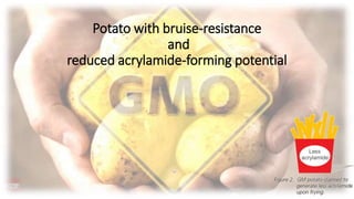 Potato with bruise-resistance
and
reduced acrylamide-forming potential
 