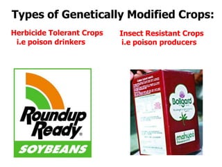 Types of Genetically Modified Crops:Herbicide Tolerant Crops i.e poison drinkers   Insect Resistant Crops i.e poison producers