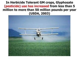 In Herbicide Tolerant GM crops, Glyphosate(pesticide) use has increased from less than 5 million to more than 50 million pounds per year (USDA, 2003)