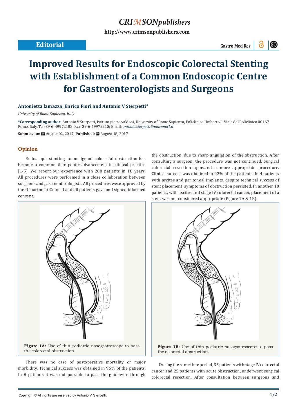 Improved Results for Endoscopic Colorectal Stenting with Establishment