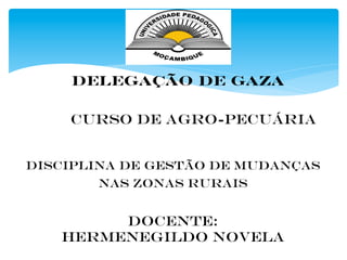 Docente:
Hermenegildo Novela
DELEGAÇÃO DE GAZA
Disciplina de Gestão de Mudanças
nas Zonas Rurais
CURSO DE AGRO-PECUÁRIA
 